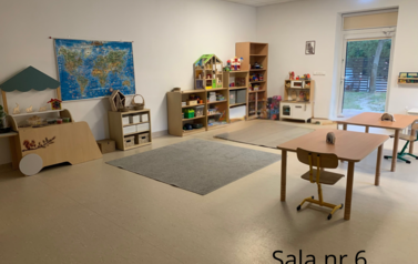 Sala nr 6