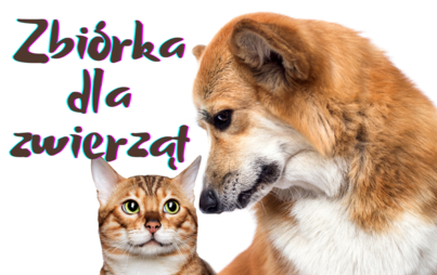 Zdjęcie do Pom&oacute;żmy im przetrwać zimę!