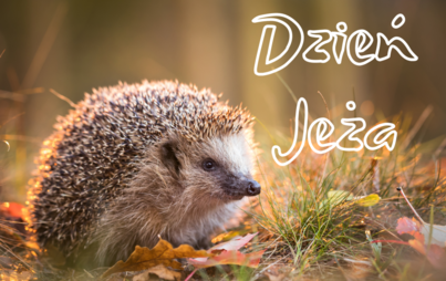 Zdjęcie do Święto grupy Jeżyki