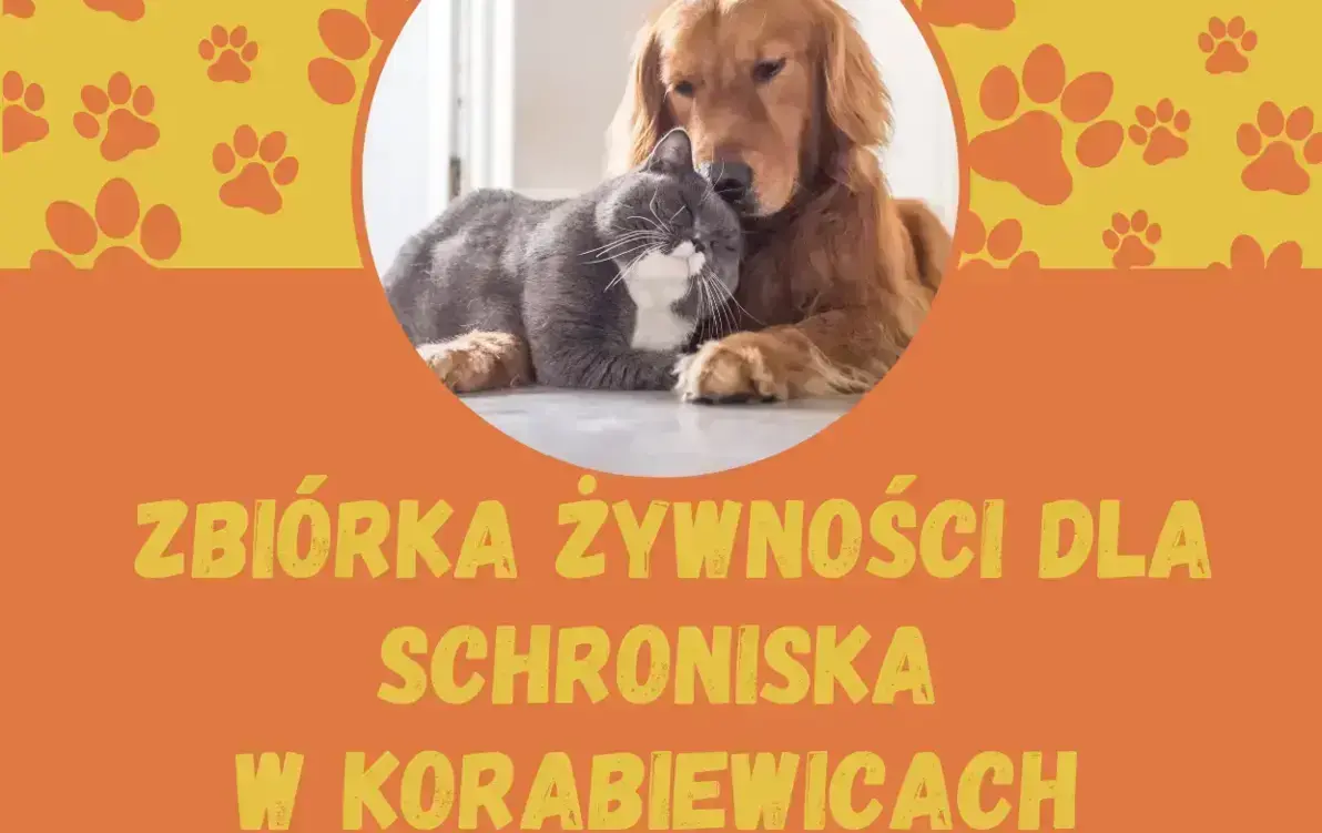 Zdjęcie do Zbi&oacute;rka karmy 